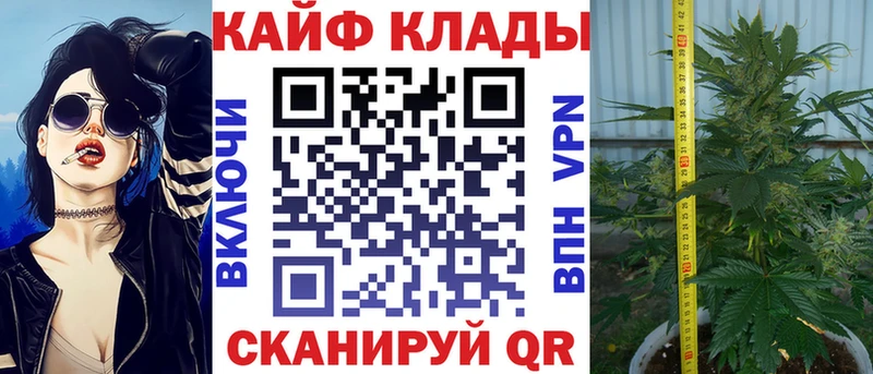 Виды наркотиков купить Сенгилей ГАШИШ hydra ТОР Меф A PVP Каннабис Кокаин