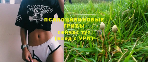 mdma Ельня
